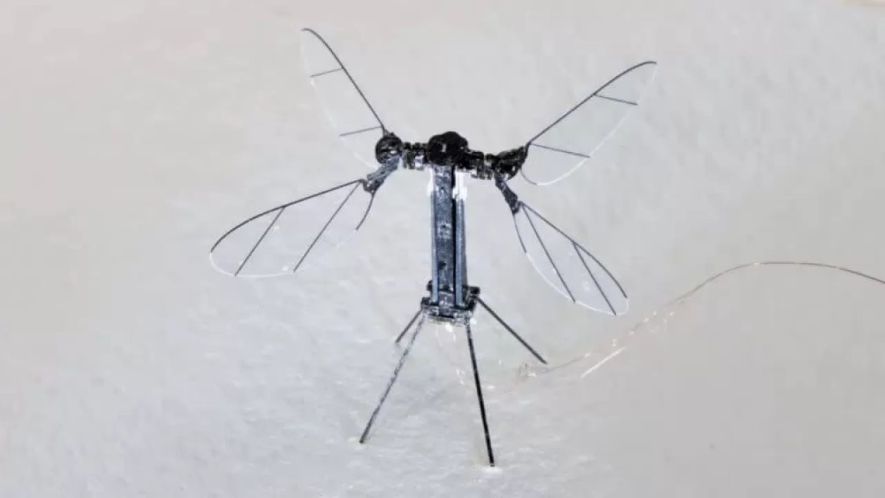 Kina ka zhvilluar një dron spiun sa një mushkonje për misione të fshehta