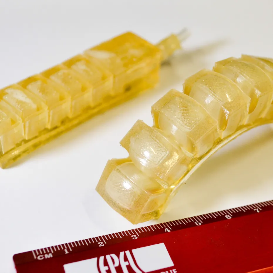 Robot i ngrënshëm: Një inovacion ushqimor dhe teknologjik