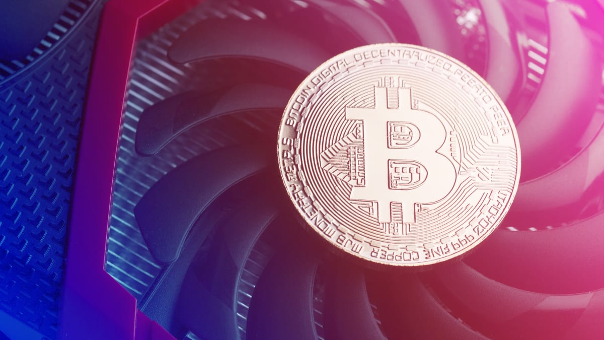 BitRiver, minieria më e madhe ruse e Bitcoin, përballet me falimentim dhe arrestin e CEO-s